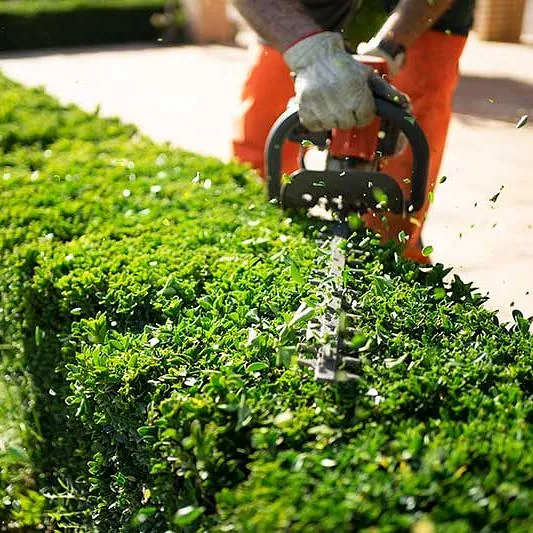 Haus--und-Gartenkonzept.-Heckenschere-im-Einsatz.-Strauchschnittarbeiten