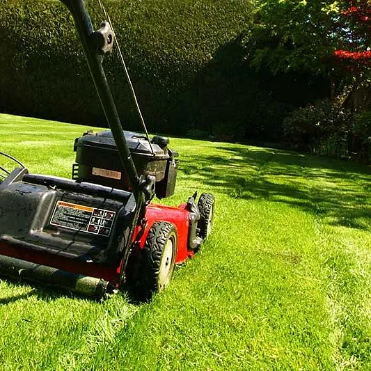 lawn-mowing