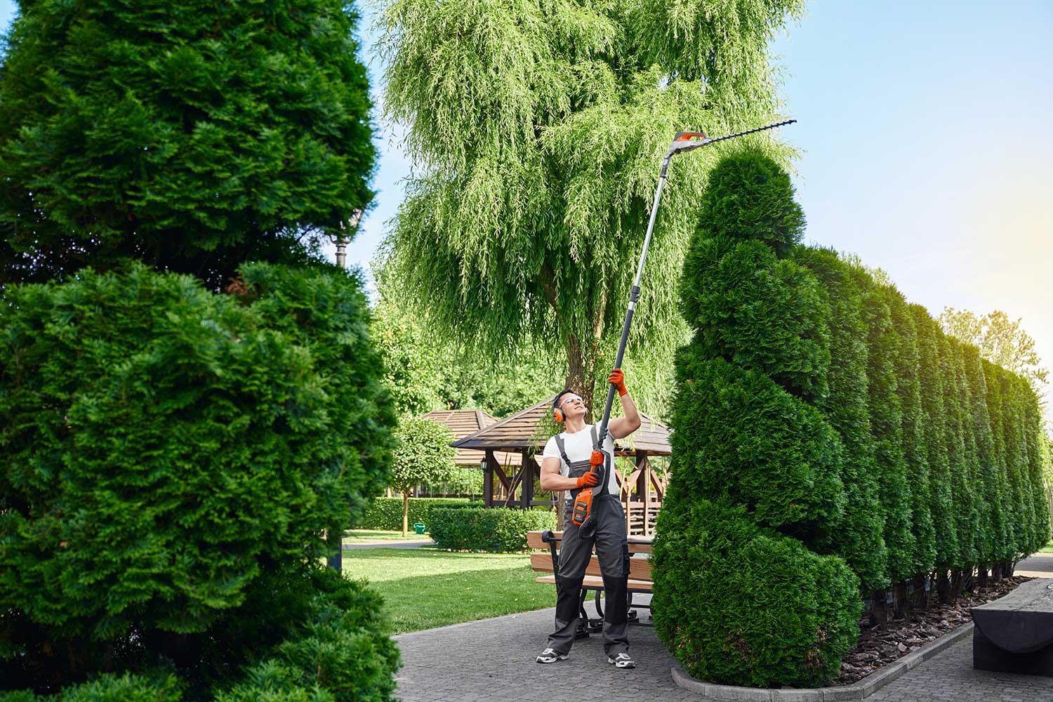 Kompetenter kaukasischer Gärtner in Overalls, Schutzbrille und Handschuhen, der überwucherte Äste entfernt. Junger Mann benutzt elektrischen Handschneider bei der Arbeit im Garten.